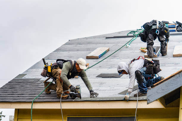 Professional Roofing technician working in Newberry, MI